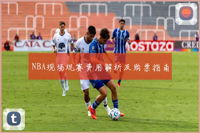 NBA现场观赛费用解析及购票指南