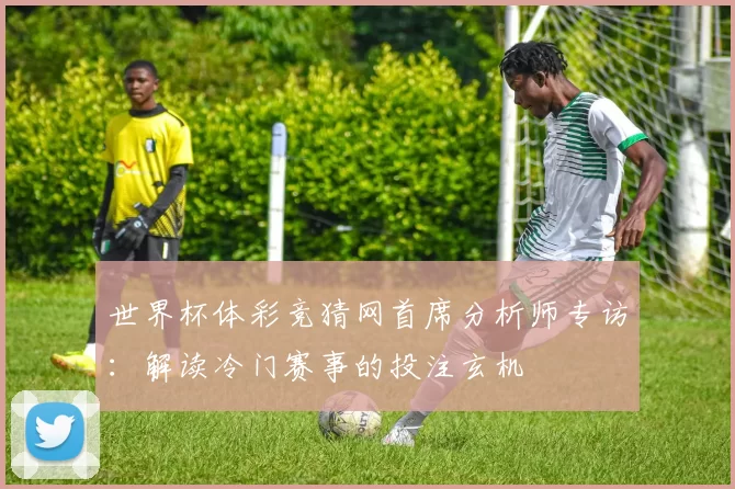 世界杯体彩竞猜网首席分析师专访:解读冷门赛事的投注玄机