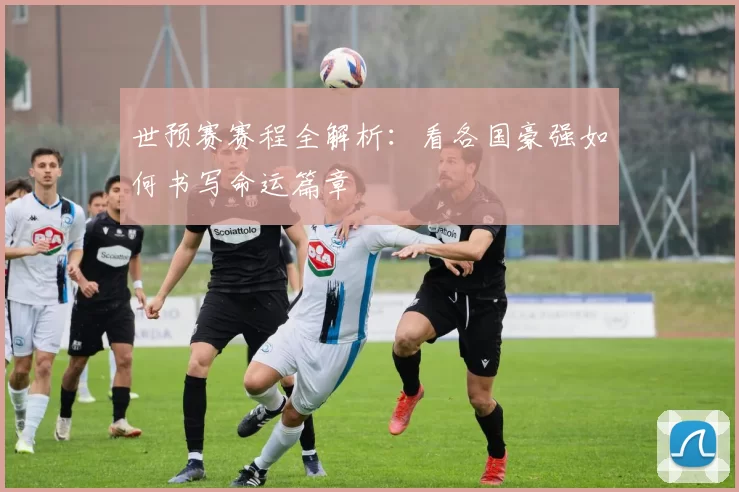 世预赛赛程全解析:看各国豪强如何书写命运篇章