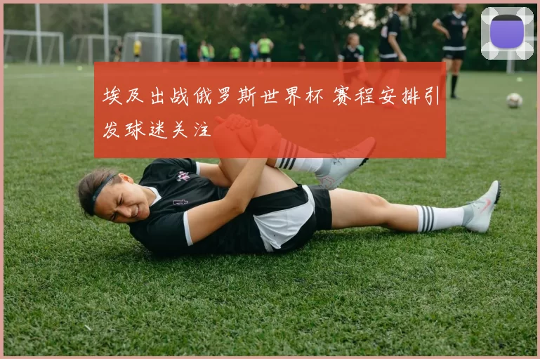 埃及出战俄罗斯世界杯 赛程安排引发球迷关注