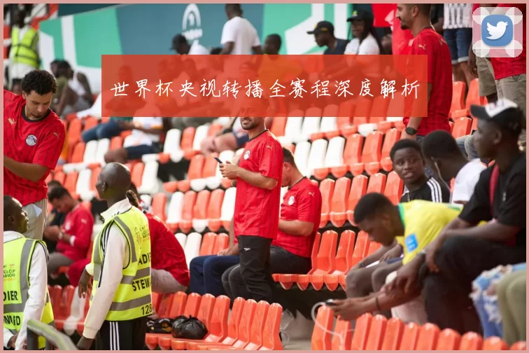 世界杯央视转播全赛程深度解析