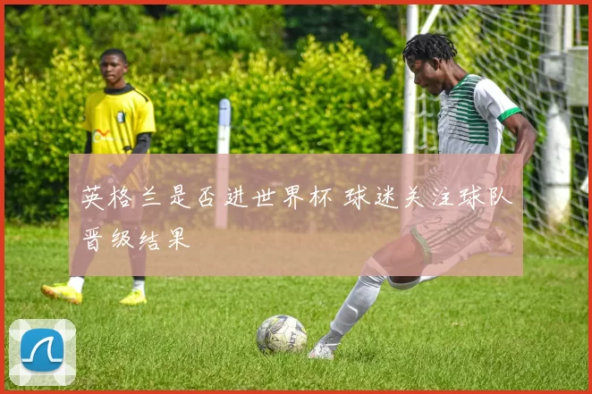 英格兰是否进世界杯 球迷关注球队晋级结果