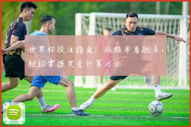 世界杯投注指南:从赔率看胜负,轻松掌握奖金计算方法
