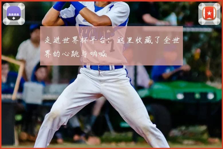走进世界杯平台:这里收藏了全世界的心跳与呐喊
