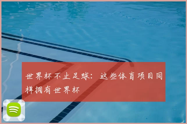 世界杯不止足球:这些体育项目同样拥有世界杯