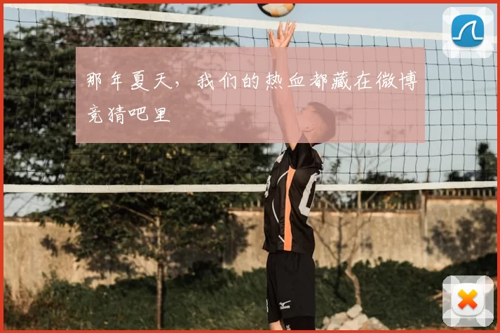 那年夏天,我们的热血都藏在微博竞猜吧里