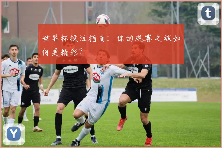 世界杯投注指南:你的观赛之旅如何更精彩?