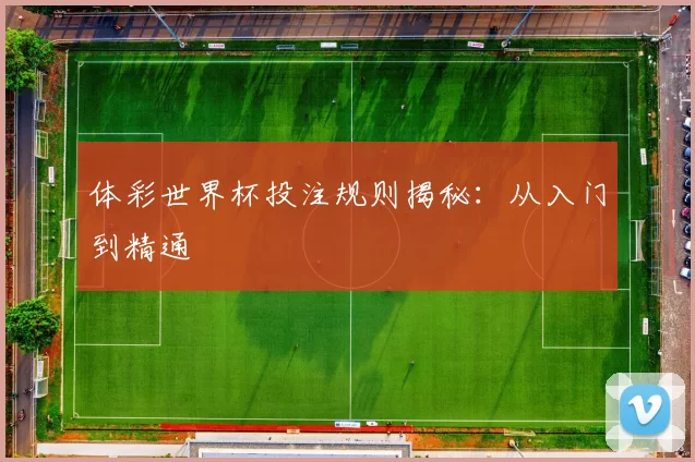 体彩世界杯投注规则揭秘：从入门到精通
