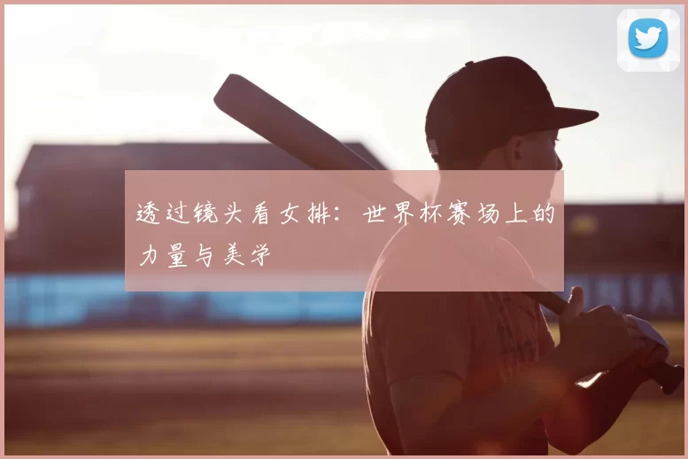 透过镜头看女排:世界杯赛场上的力量与美学