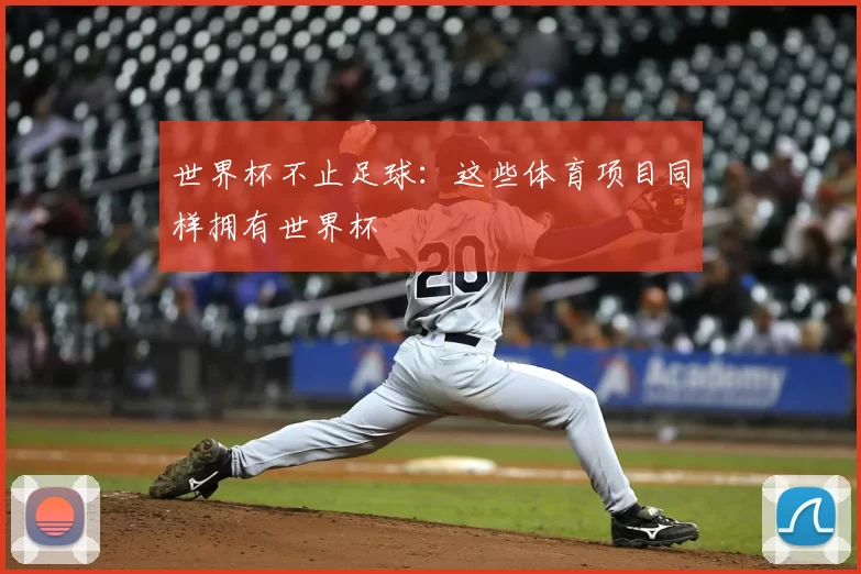 世界杯不止足球:这些体育项目同样拥有世界杯