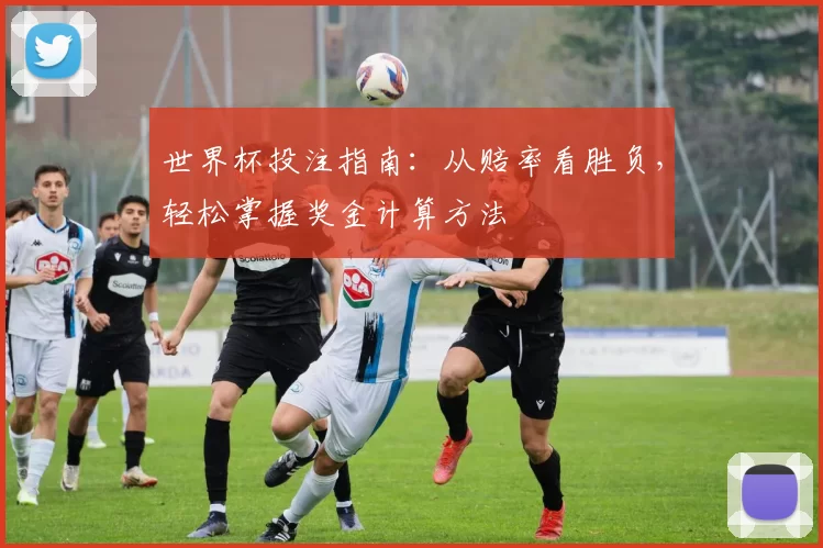 世界杯投注指南:从赔率看胜负,轻松掌握奖金计算方法